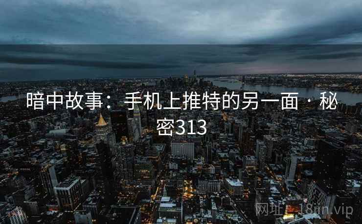 暗中故事:手机上推特的另一面 · 秘密313  第1张 暗中故事:手机上推特的另一面 · 秘密313  第1张