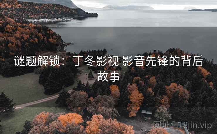 谜题解锁:丁冬影视 影音先锋的背后故事