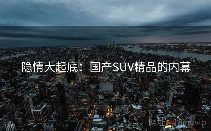 隐情大起底:国产SUV精品的内幕  第2张 隐情大起底:国产SUV精品的内幕  第2张