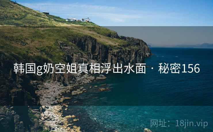 韩国g奶空姐真相浮出水面 · 秘密156