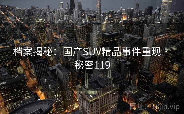 档案揭秘:国产SUV精品事件重现 · 秘密119