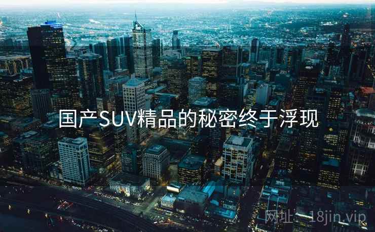 国产SUV精品的秘密终于浮现  第2张 国产SUV精品的秘密终于浮现  第2张