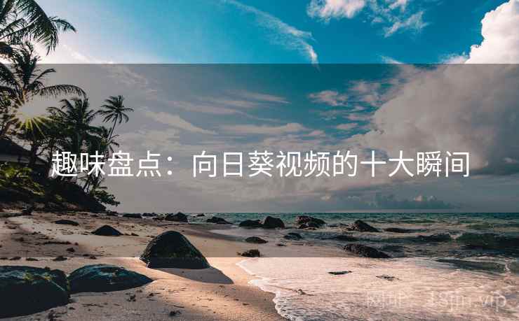 趣味盘点:向日葵视频的十大瞬间