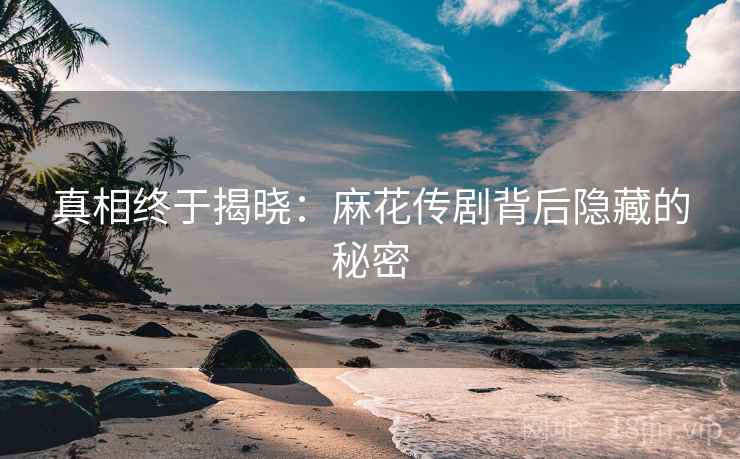 真相终于揭晓:麻花传剧背后隐藏的秘密